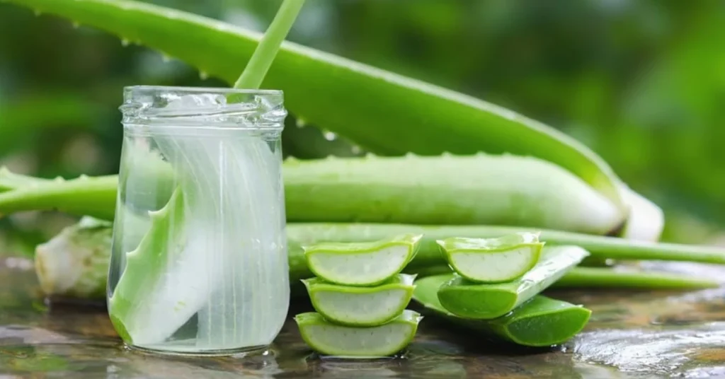 ALOE VERA 2
