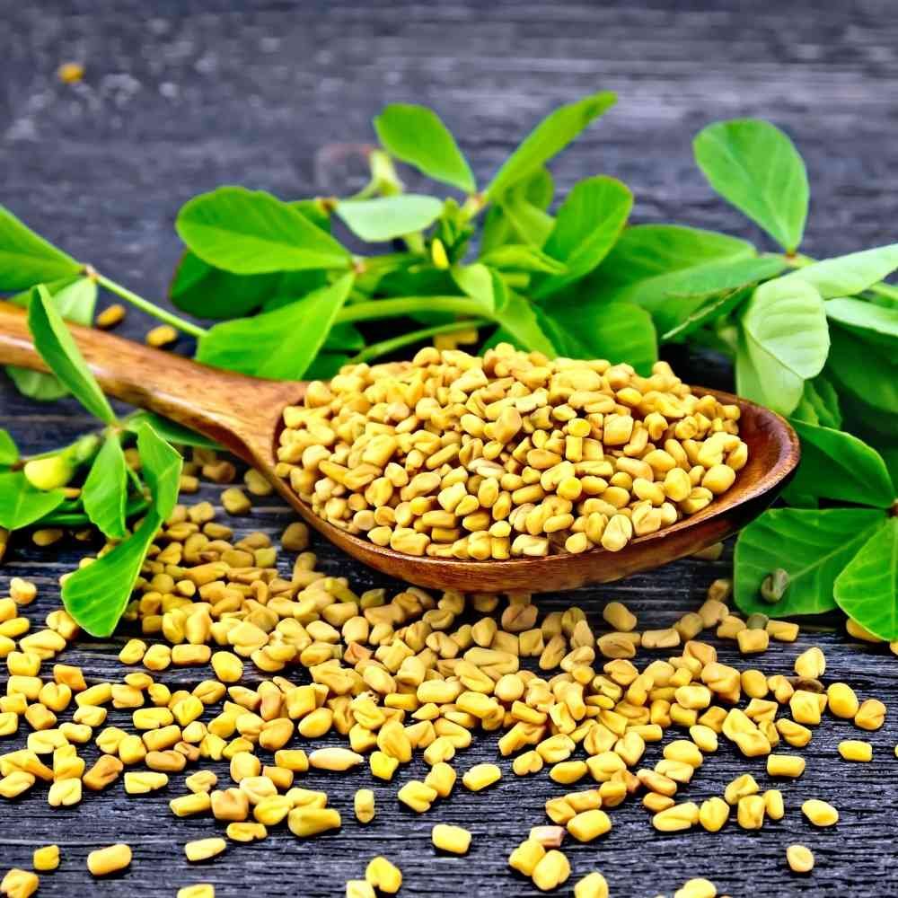 Fenugreek-Seeds-Methi