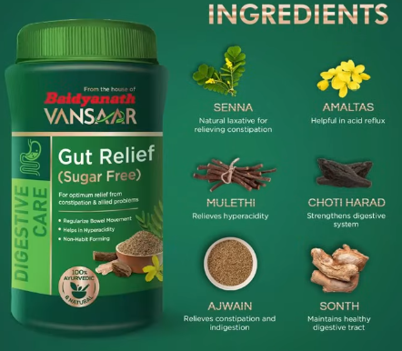 BAIDYANATH VANSAAR GUT RELIEF.