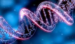 GENETIC