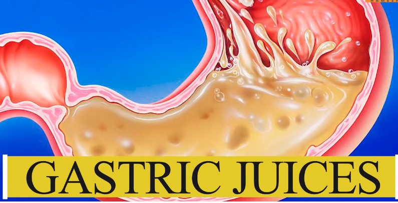  Gastric juices,