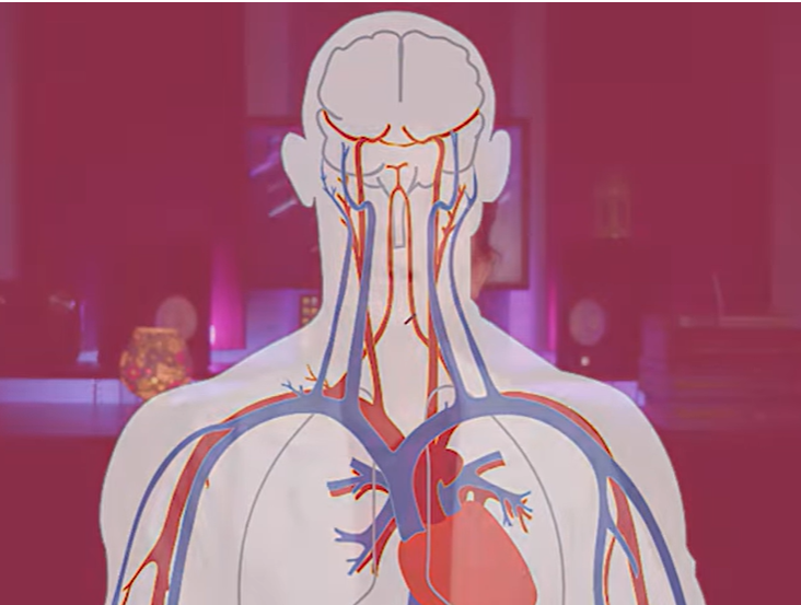Physiology of Our Body