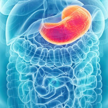 Stomach Disorders