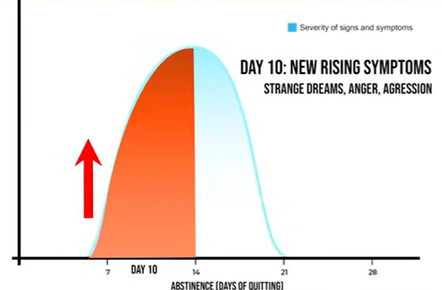Strange Dreams