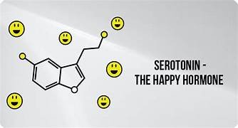 Serotonin