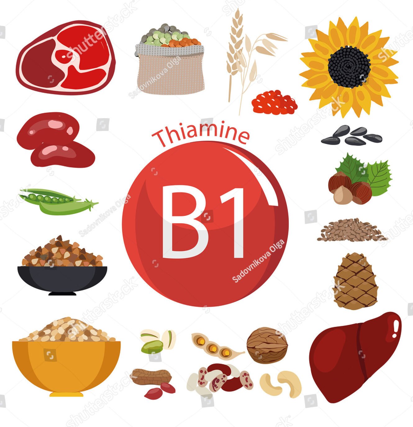 Vitamin B1 – Thiamine