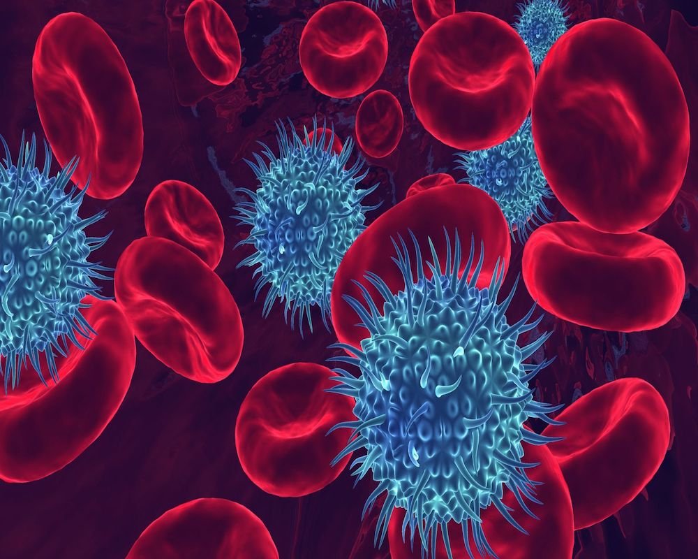 blood infection