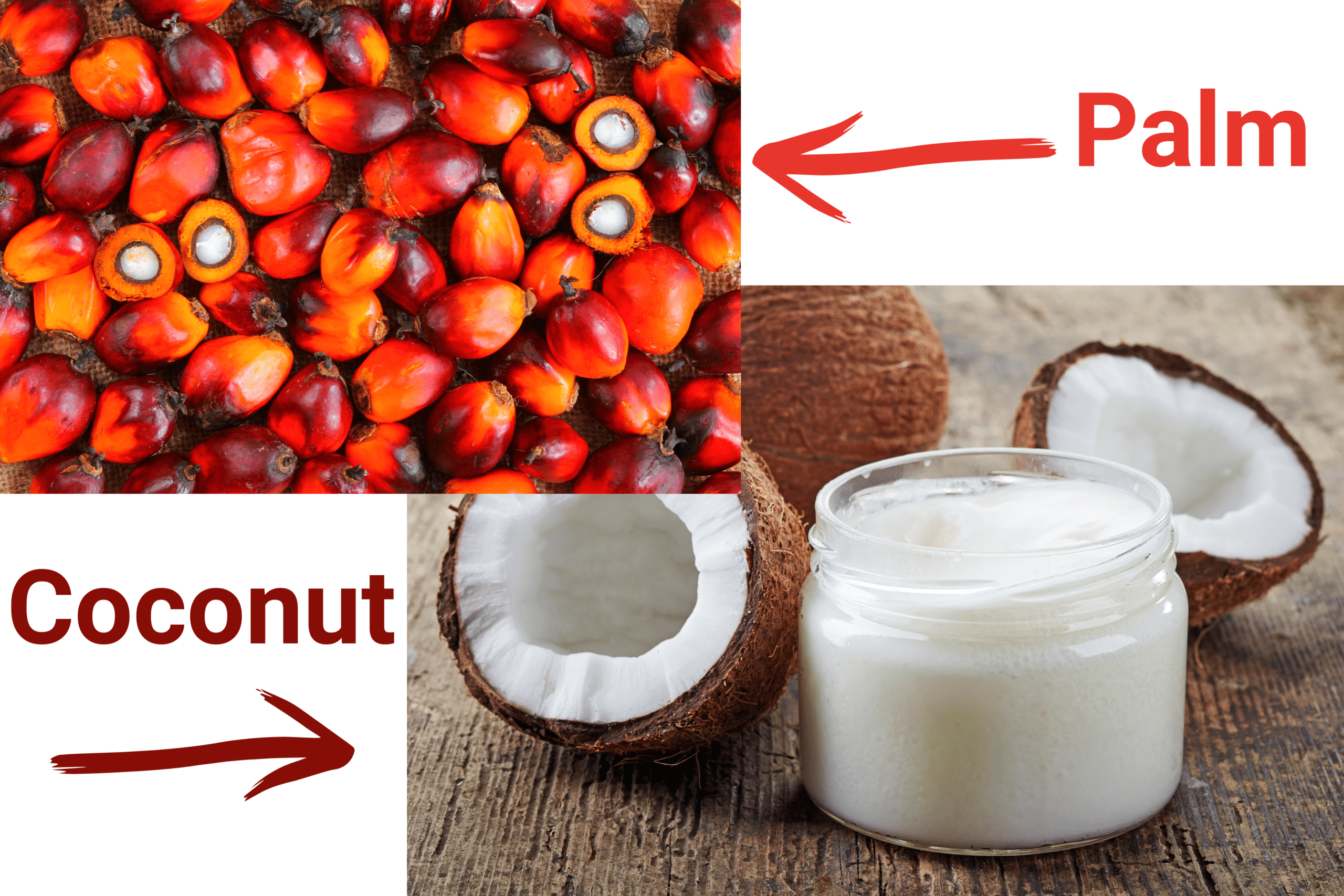 coconut oil or palm oil increases cholesterol level.