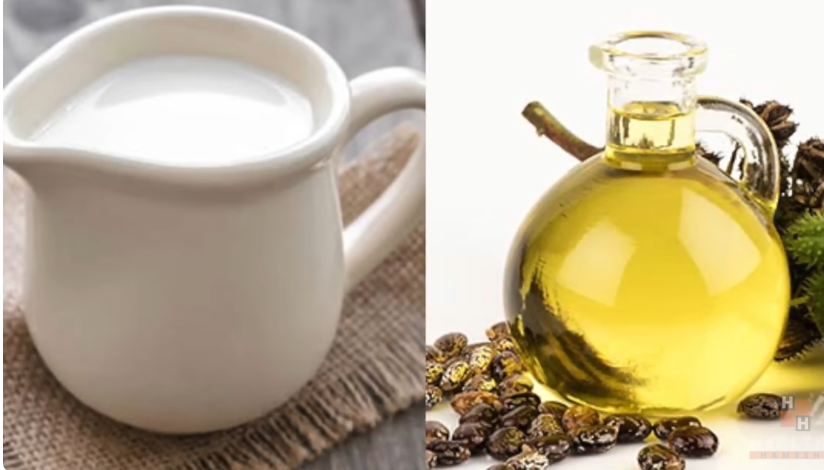 milk and castor oil