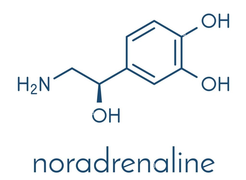 Norepinephrine  