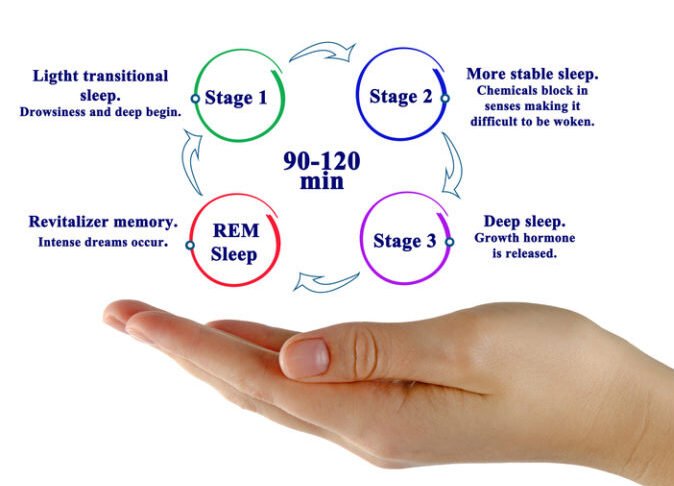 sleep-stages-sleep-cycle