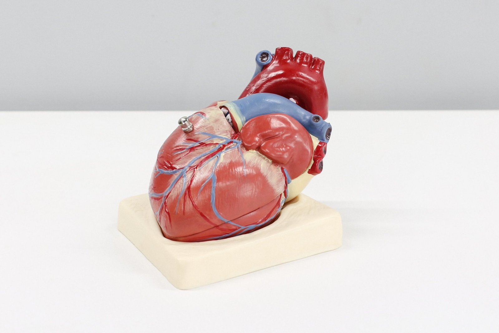 calculator heart disease